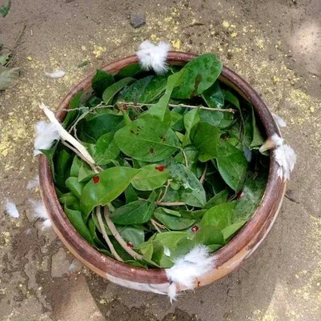 Les recettes naturelles et la richesse 🌿 Whatsapp Group Link | Groupsor