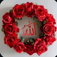 💐محب اسلام 💐 Whatsapp Group Join Link
