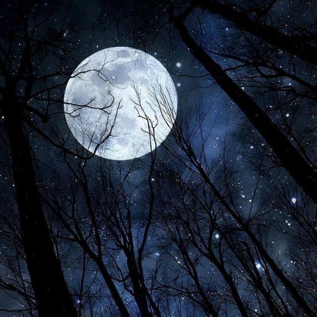 احنا صحاب بلدنا