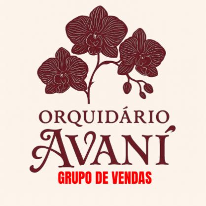 Orquidário Avaní - VENDAS