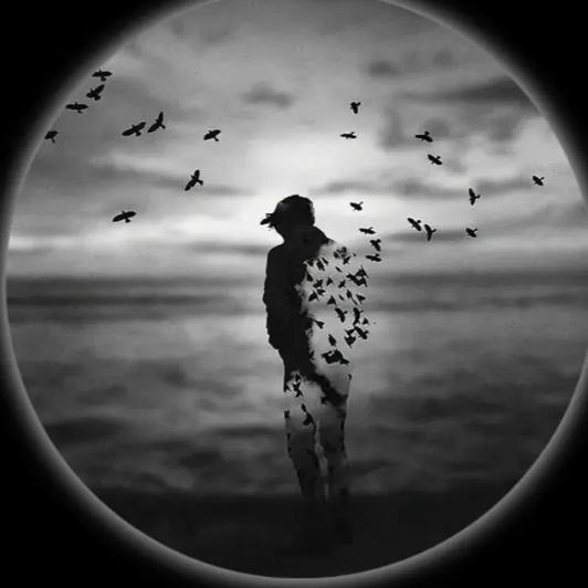 مکس ♡🕊️اردو💓پښتوشاعری📖𝑷𝒐𝒆𝒓𝒕𝒚