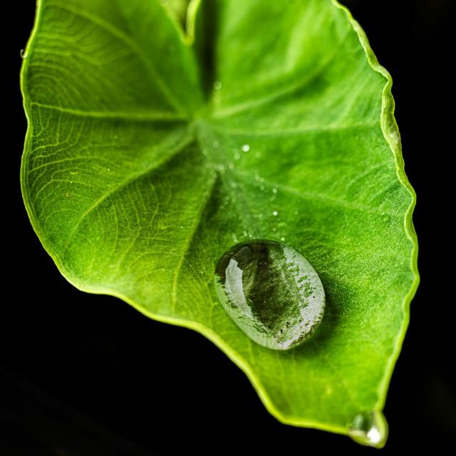 AntiSocial Club [Teologia] - Link de Grupo de Religião e Filosofia no WhatsApp