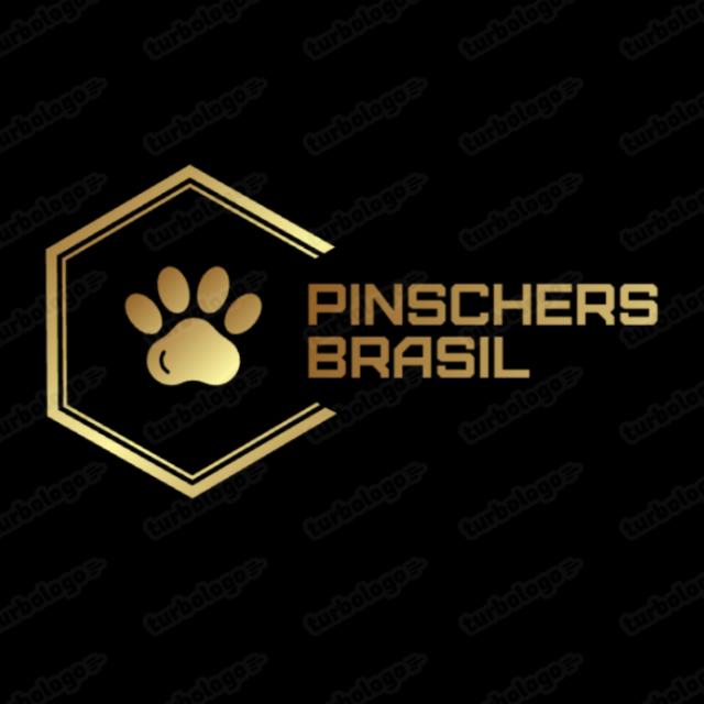 PINSCHERS BRASIL