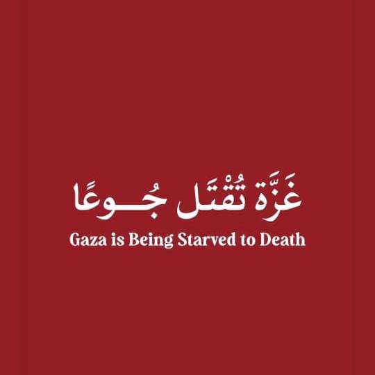 The people of Gaza, Palestine, are dying of hunger. Whatsapp Group Join Link