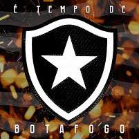 ⚽ Botafogo em evidência ⚽ 🎥: fatos e jogos, história do futebol, clubes, títulos e emoção.💯%