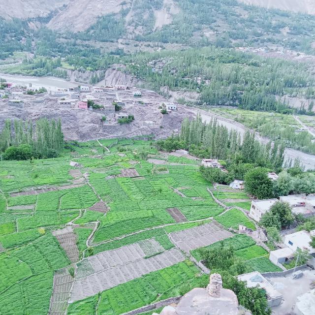 نیو ھل ٹاؤن ژھین نوجوانان گروپ
