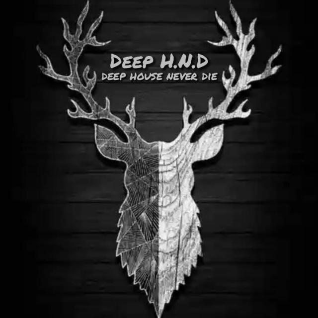 DEEP HOUSE NEVER DIE. the den of house music
