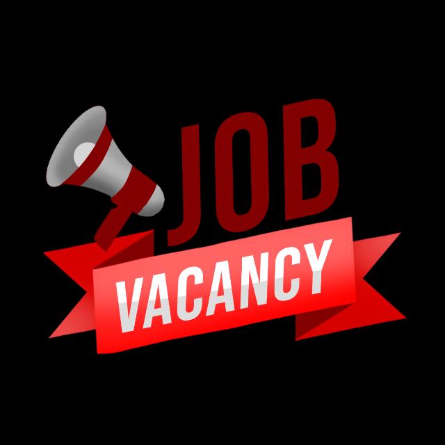 Job jaipur