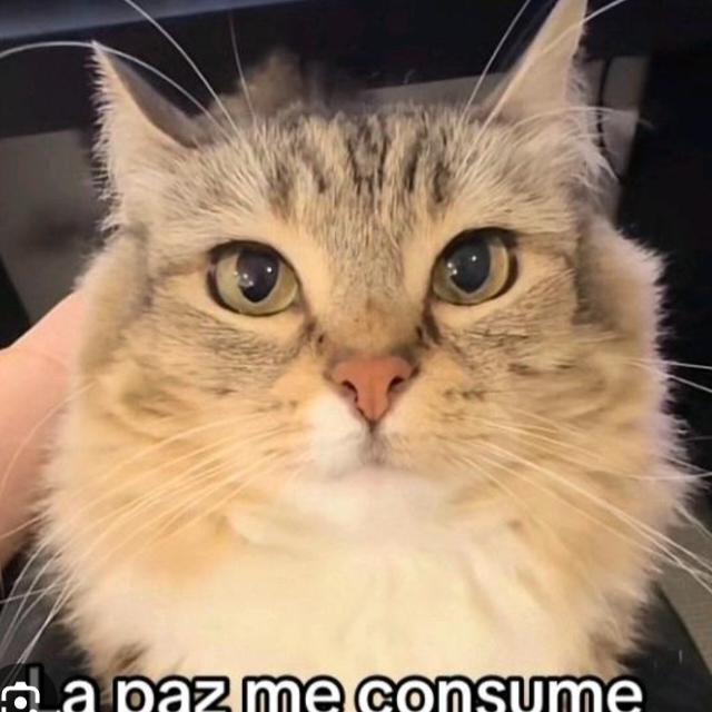 Grupo ❗𝔹𝕠𝕣𝕣𝕠 𝕔𝕒𝕤𝕤𝕖𝕥𝕥𝕖 ❗ de WhatsApp sobre anime