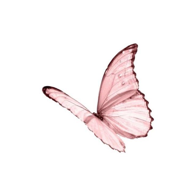 ꒰ ꒰ ♡︎ ֺ ʜᴏᴍᴇʟᴀɴᴅ¡ 🦋 𓈒 ֺ ✿︎ Grupo ꒰ ꒰ ♡︎ ֺ ʜᴏᴍᴇʟᴀɴᴅ¡ 🦋 𓈒 ֺ ✿︎ de WhatsApp sobre anime