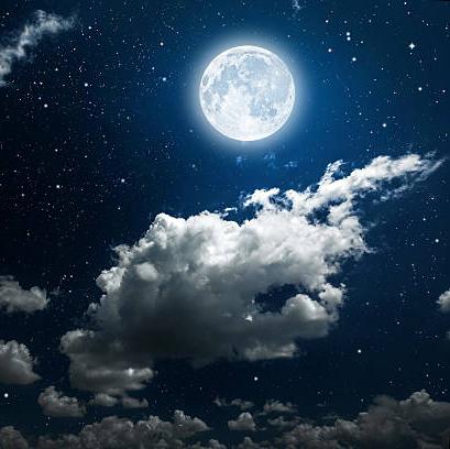 MOON LIGHT 🌝🌙 Group's logo