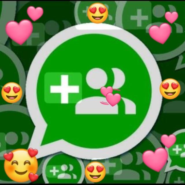 Novo grupo