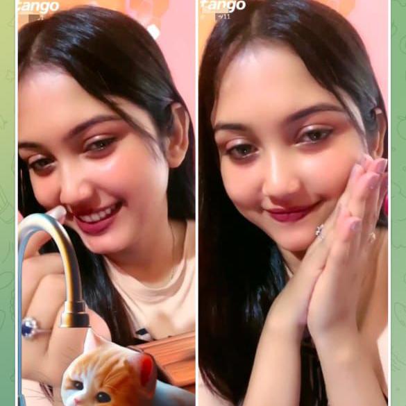 Desi Tiktokrs leak viral celebrity data Group's logo