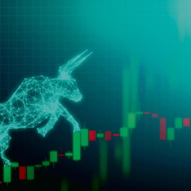Money help investment