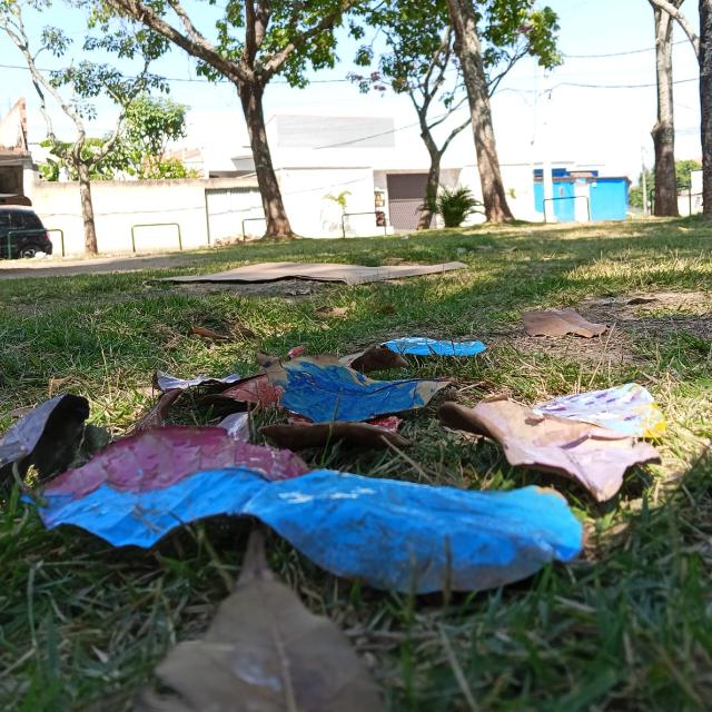 Educação Infantil em insights
