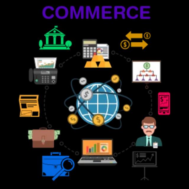 💙AL COMMERCE/notes &amp; questions💙