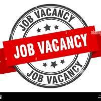 Job Information Students Help WhatsApp Group