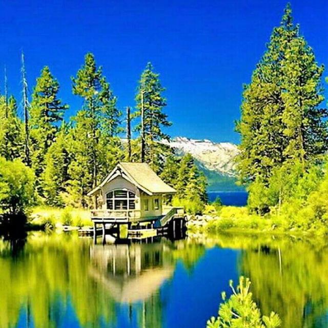 🌺Friends Forever🫶💗 Group's logo