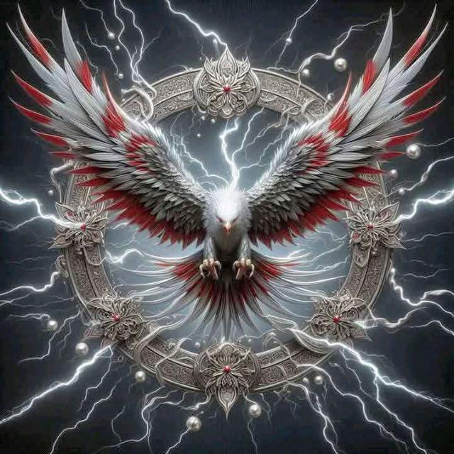 Só amizade - Grupos WhatsApp no SeuGrupo