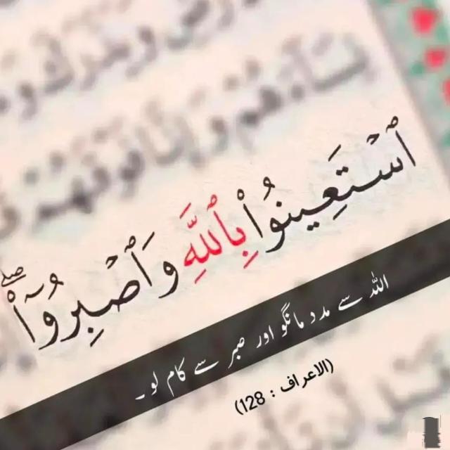 𝐁𝐀𝐂𝐊 𝐓𝐎 𝐀𝐋𝐋𝐀𝐇🕊️❦ Group's logo