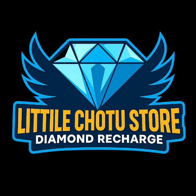 LITTLE CHOU STORE