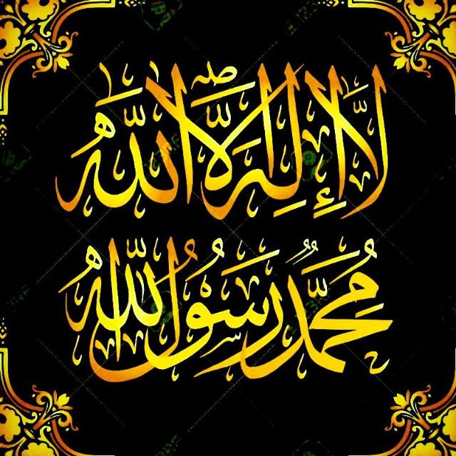 Daily Islamic Learning (Group #2)