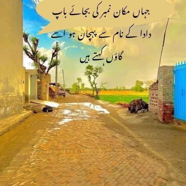 Gupshup group Group's logo