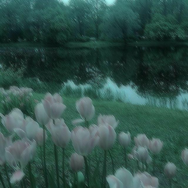 Avatar de ̷̸̷̨̳̭ͨ͠🌸̷̸̸̨ͨ 🅢⃞̸𝖧𝖨͡𝖭𝖮͟𝖡̲𝖴 𝗥𝖤𝖢͜𝖴͜𝖱͜𝖲𝖮𝖲