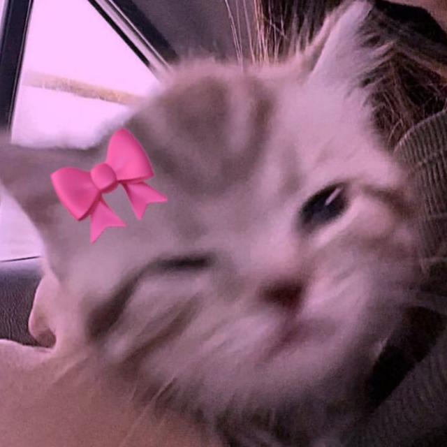 ๐งธโโ๐ุน๐ฌัะฝ๐๐ญฤซฤซ๐ โ
๐ฤซ๐ขะฒ๐๐ฌ - ๐ค๐ผ