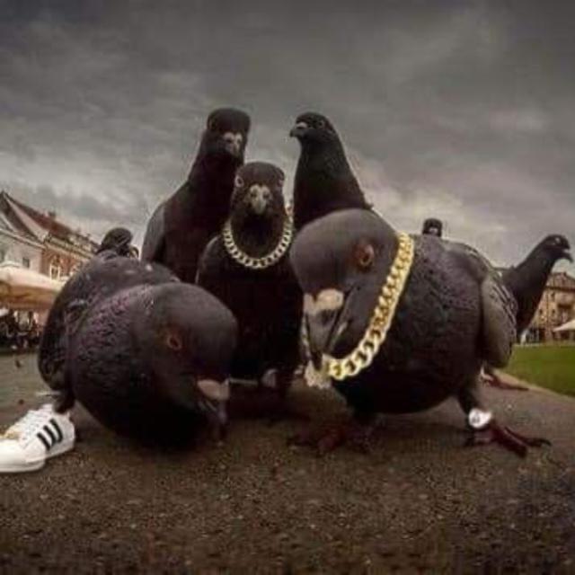 entre risos e risadas  - Grupo WhatsApp no Pro Divulgas