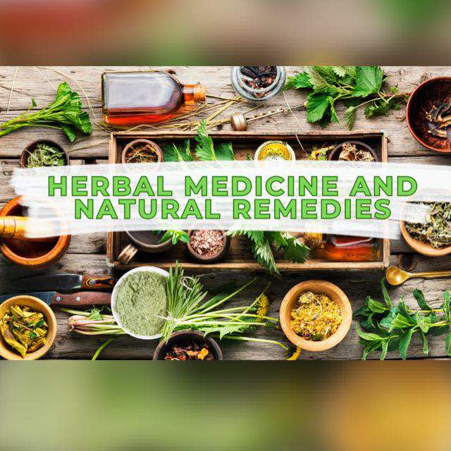 The Healing power of Natural herbs 🪴 Group's logo
