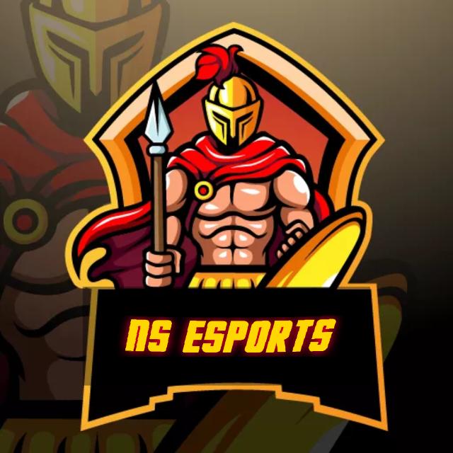 ๐NS ESPORTS CS/BR PAID SCRIMS ๐