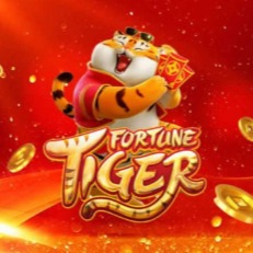 🥇VIP 1 LANÇAMENTOS 🚀