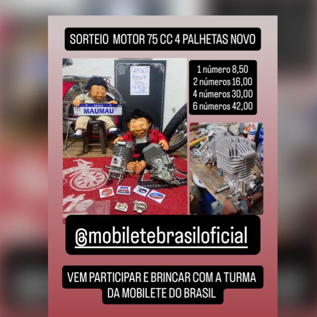 🍀 RIFA MOTOR 75CC 4 PALHETAS NOVO 🍀