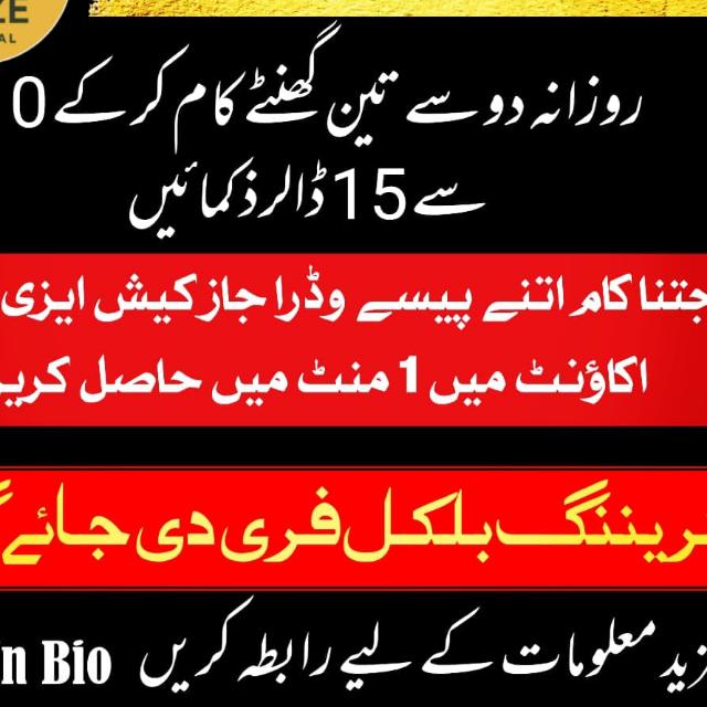 💚Online earning in pak 🇵🇰🩷💲♥️