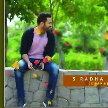 Aravinda Sametha Whatsapp Group Join Link