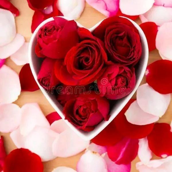 (اليمن السعيد❤️)