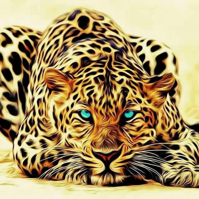 🦁Gujarati king🦁 WhatsApp Group in Comedy/Funny, India, Hindi group/channel image