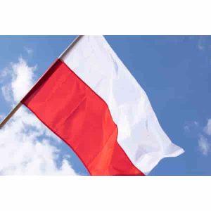 Poland Jobs Group's logo