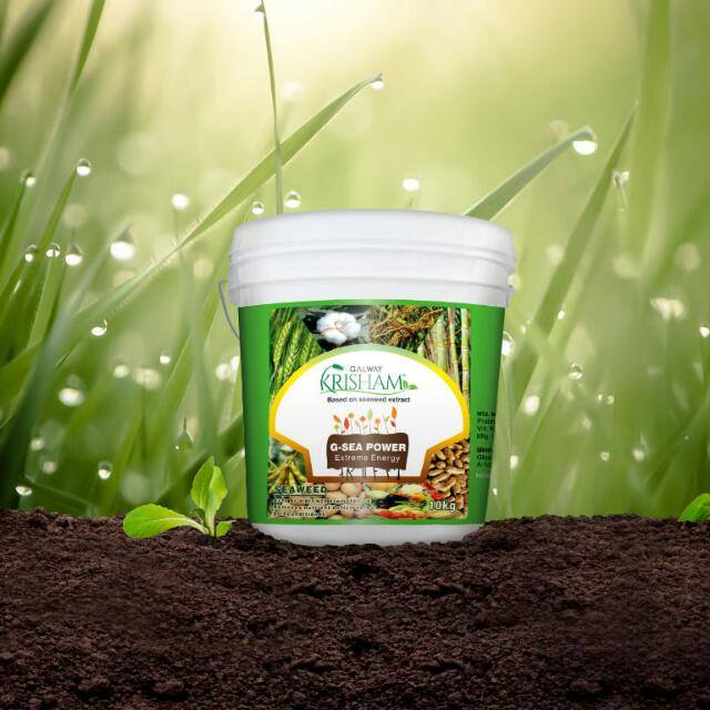 All producta agri WhatsApp Group in Shopping/Buy/Sell, India, Hindi group/channel image