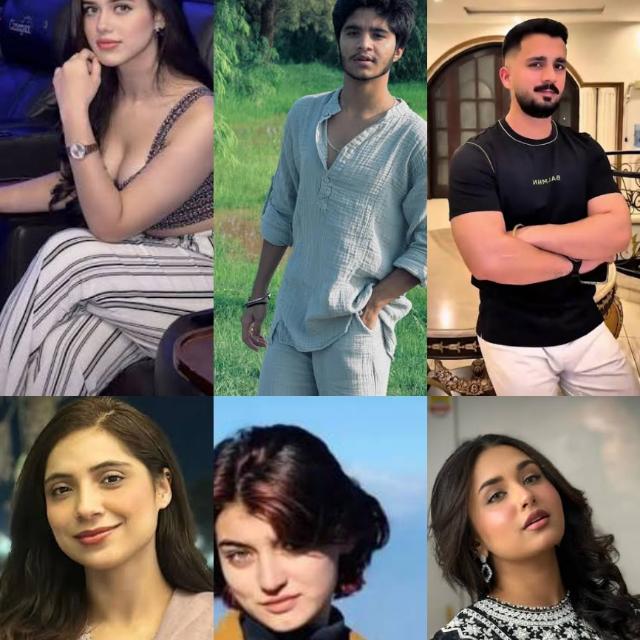 PAKISTANI DESI DATA 🤤 Group's logo