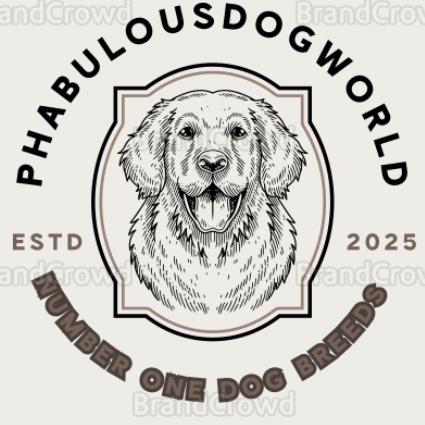 Phabulousdogworld 🐕🐕🐕