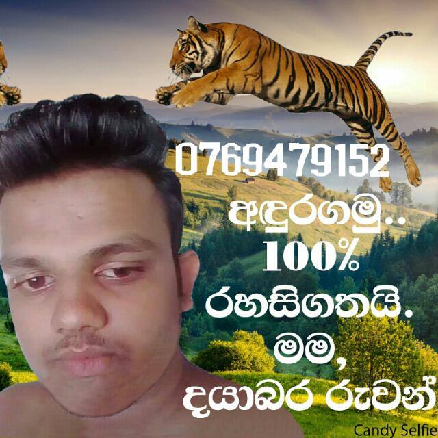 තනිකඩ අපි  WhatsApp Group in Fan Club/Celebrities, Sri Lanka, Sinhala group/channel image