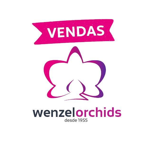 Plantas especiais – Orquidário Wenzel
