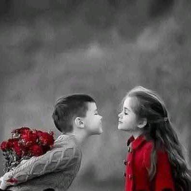 مسافرو ګرو Group's logo