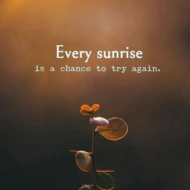 Exchange Coins & Usdt Buy Sale 💰💰