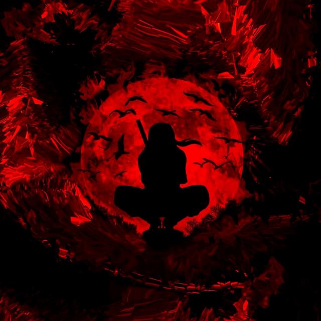 All video allow🔞 Group's logo