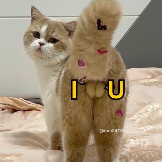 𝐂𝐡𝐚𝐭 𝐚𝐧𝐝 𝐅𝐮𝐧♥︎