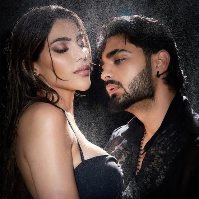 Night Desi Girl Group's logo