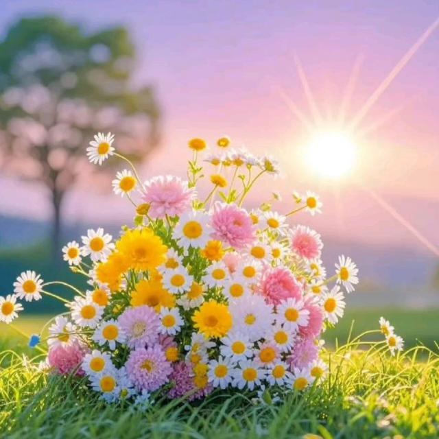 ❤️ گلدستہِ حیات 🕊️